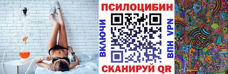 наркота  ОМГ ОМГ зеркало  Галлюциногенные грибы Psilocybine cubensis  Тайга 